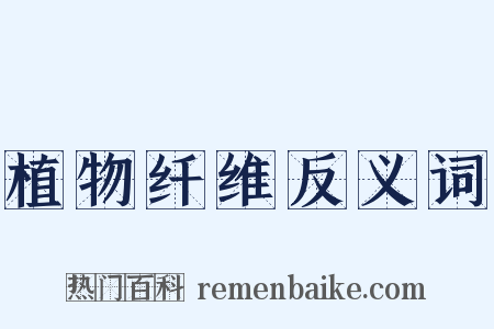 植物纤维反义词是什么意思的图片